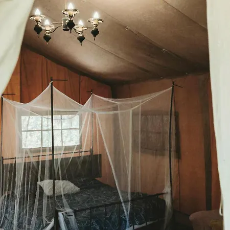 Portugal Glamping Tree House In Vieira De Leiria, For Vacations Near Sintra