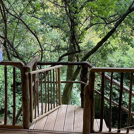 Portugal Glamping Tree House In Vieira De Leiria, For Vacations Near Sintra *