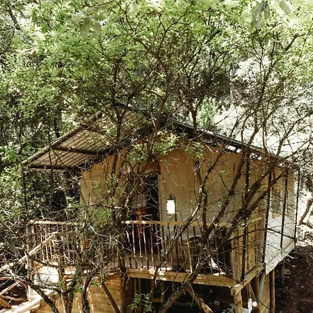 Portugal Glamping Tree House In Vieira De Leiria, For Vacations Near Sintra Holiday home