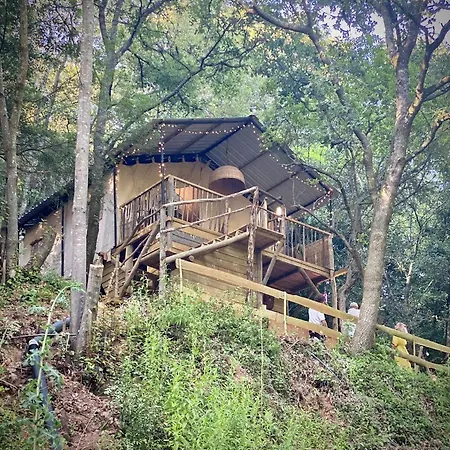 Holiday home Portugal Glamping Tree House In Vieira De Leiria, For Vacations Near Sintra