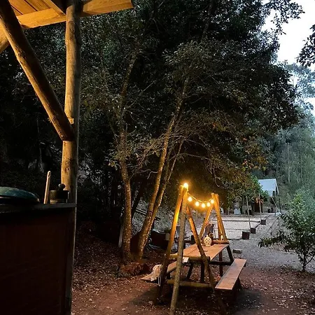 Portugal Glamping Tree House In Vieira De Leiria, For Vacations Near Sintra Holiday home *